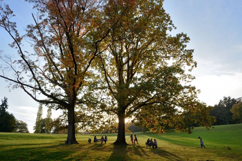 Parc de Lacroix Laval, Marcy L'Etoile